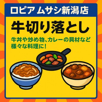 ロピア ムサシ新潟店のチラシ